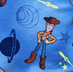 Toy Story Fabric
